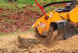 Best Aeration Services  in Fort Valley, GA